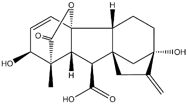 赤霉素GIBBERELLIC ACID，居然有這么神奇？